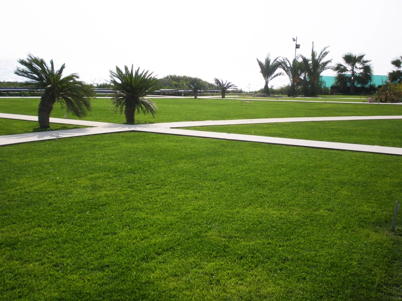 Green Forest - Cyprus' leading landscaping company - maroni 34 1