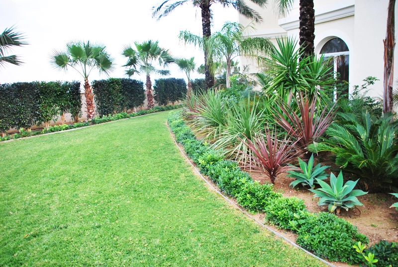 Green Forest - Cyprus' leading landscaping company - maroni 8 2