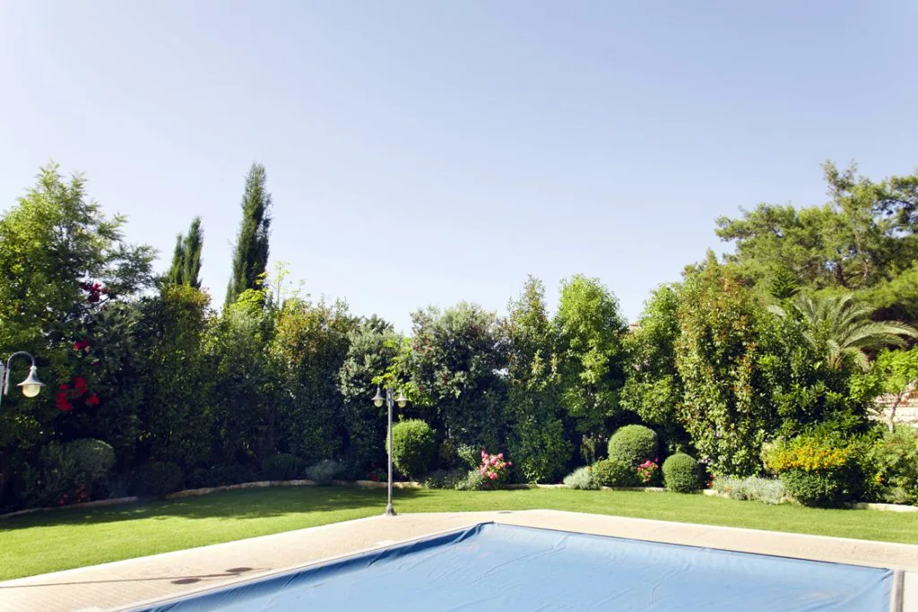 Green Forest - Cyprus' leading landscaping company - mediterraneangardens 47 2