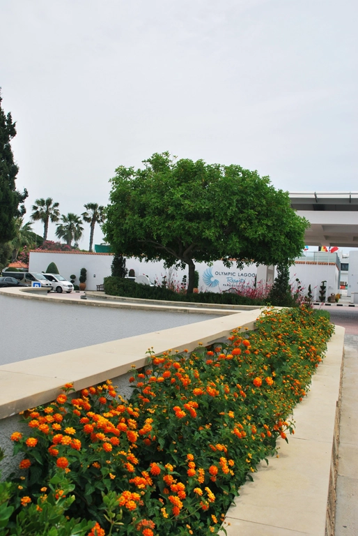 Green Forest - Cyprus' leading landscaping company - olympiclagoon 100 2