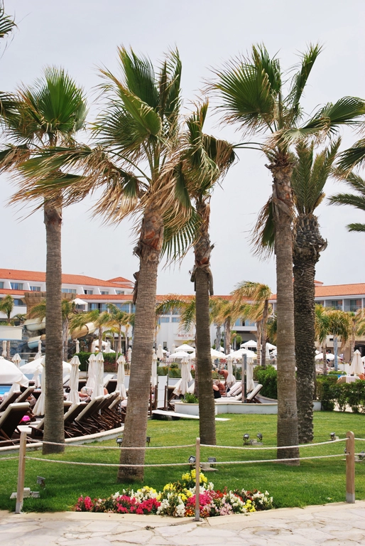 Green Forest - Cyprus' leading landscaping company - olympiclagoon 14 2