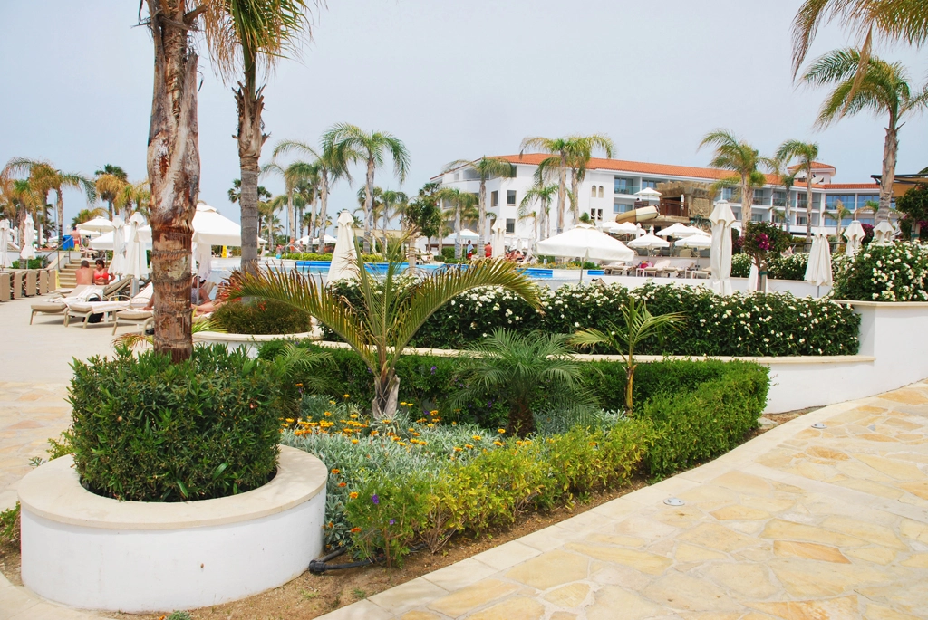 Green Forest - Cyprus' leading landscaping company - olympiclagoon 29