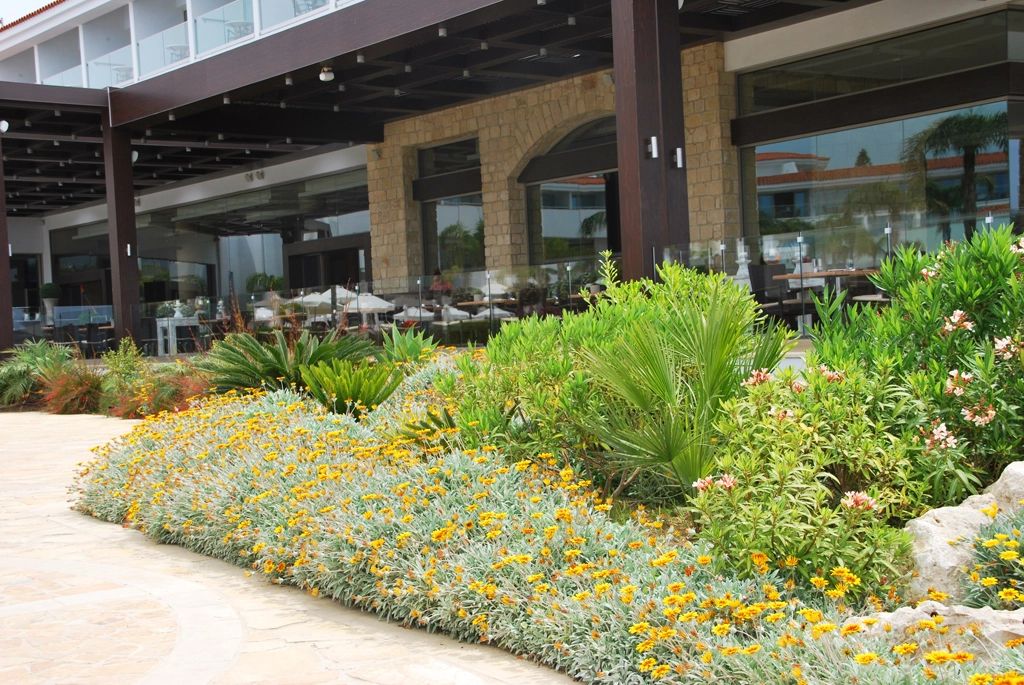 Green Forest - Cyprus' leading landscaping company - olympiclagoon 34 2