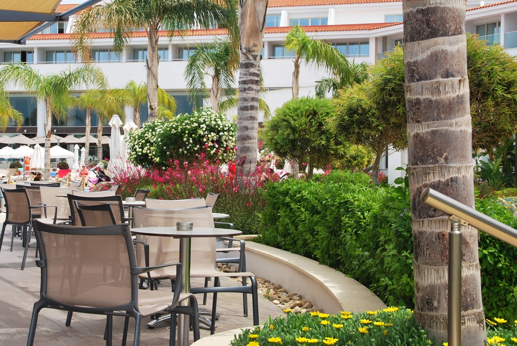 Green Forest - Cyprus' leading landscaping company - olympiclagoon 39 2