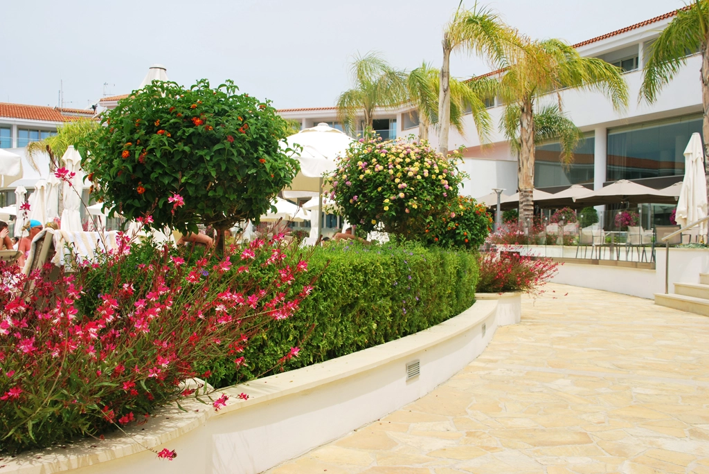Green Forest - Cyprus' leading landscaping company - olympiclagoon 54 2