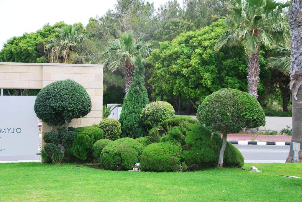 Green Forest - Cyprus' leading landscaping company - olympiclagoon 94 2