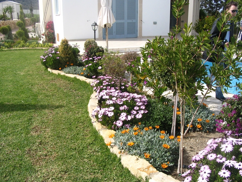 Green Forest - Cyprus' leading landscaping company - perennialsplants 2 1
