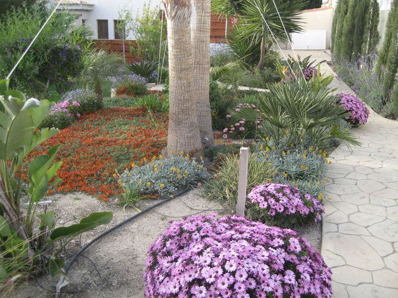Green Forest - Cyprus' leading landscaping company - perennialsplants 5 1