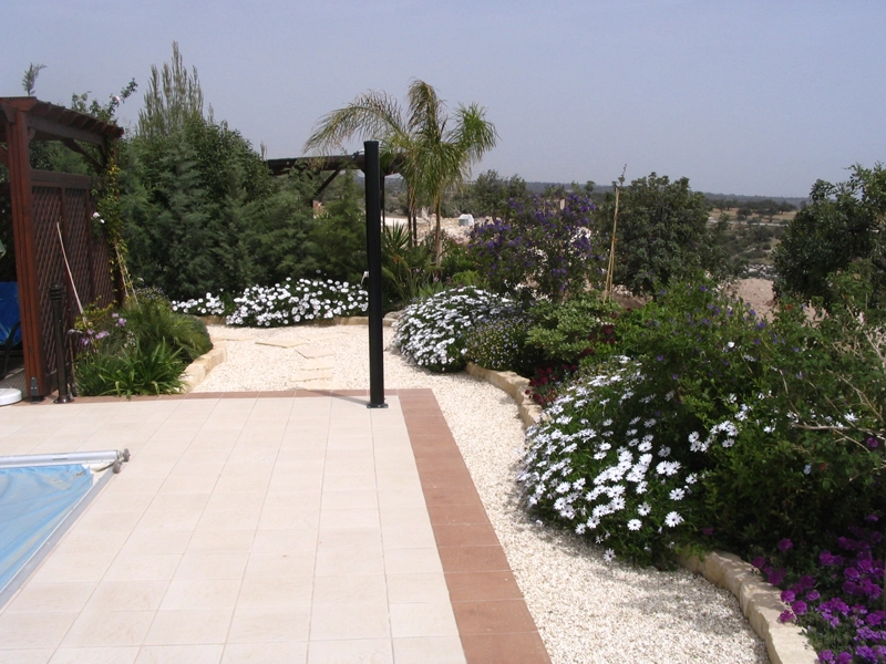 Green Forest - Cyprus' leading landscaping company - perennialsplants 9 2