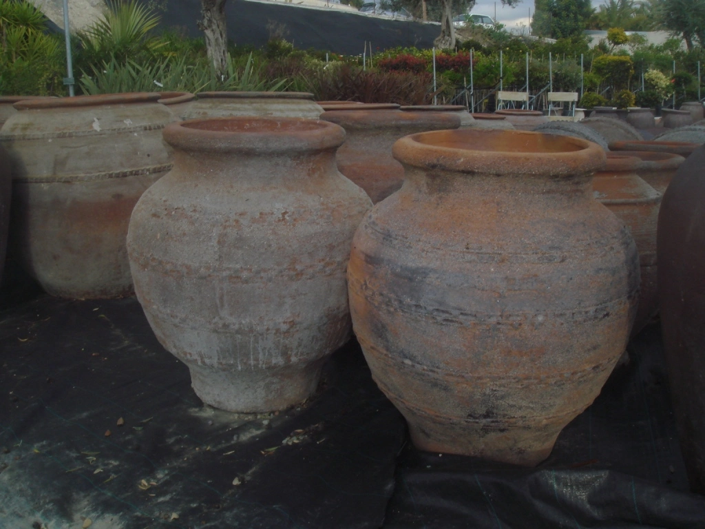 Green Forest - Cyprus' leading landscaping company - pots 35 1