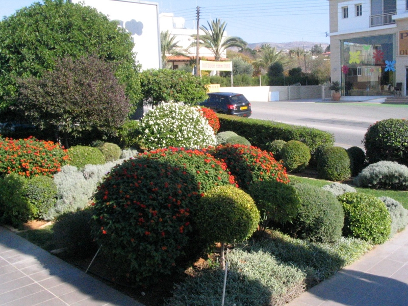 Green Forest - Cyprus' leading landscaping company - project 001 3 2