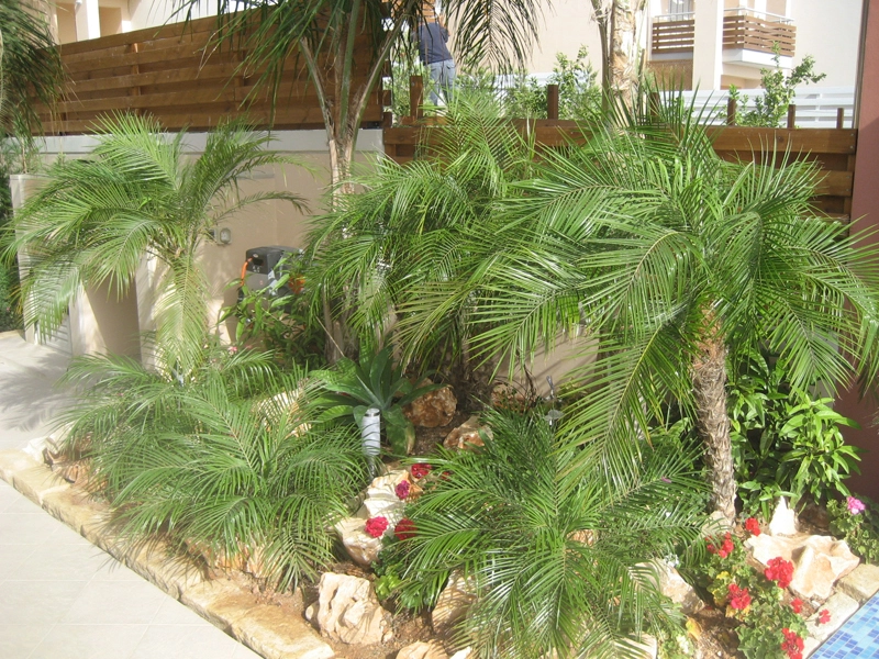 Green Forest - Cyprus' leading landscaping company - project 003 10 2
