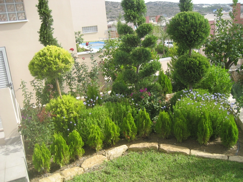Green Forest - Cyprus' leading landscaping company - project 003 12