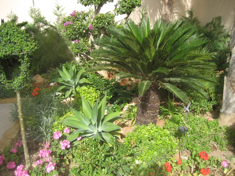 Green Forest - Cyprus' leading landscaping company - project 003 6 2