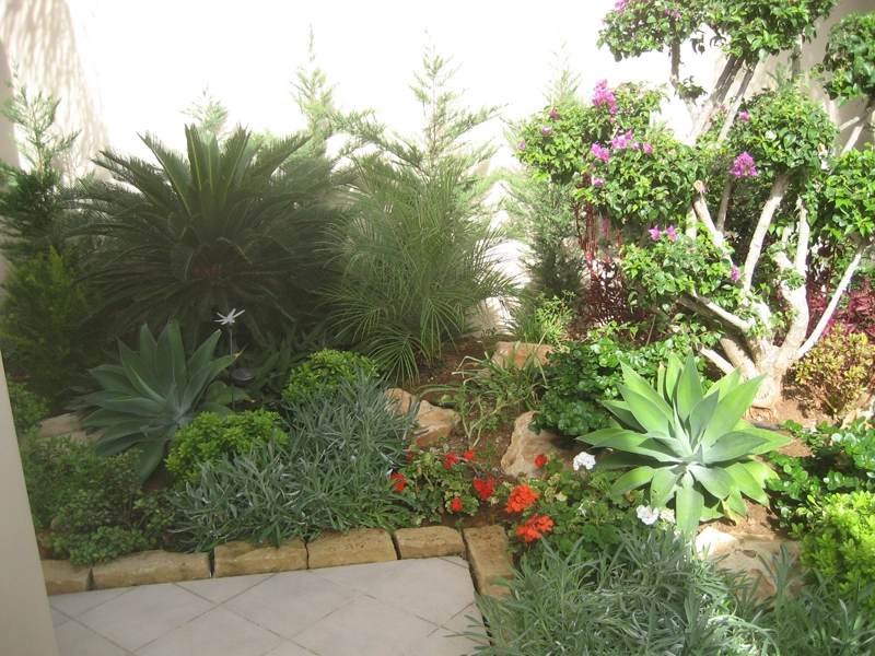 Green Forest - Cyprus' leading landscaping company - project 003 7 2