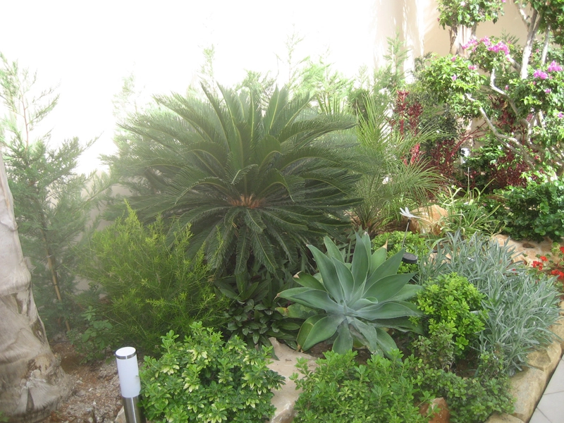 Green Forest - Cyprus' leading landscaping company - project 003 8 1