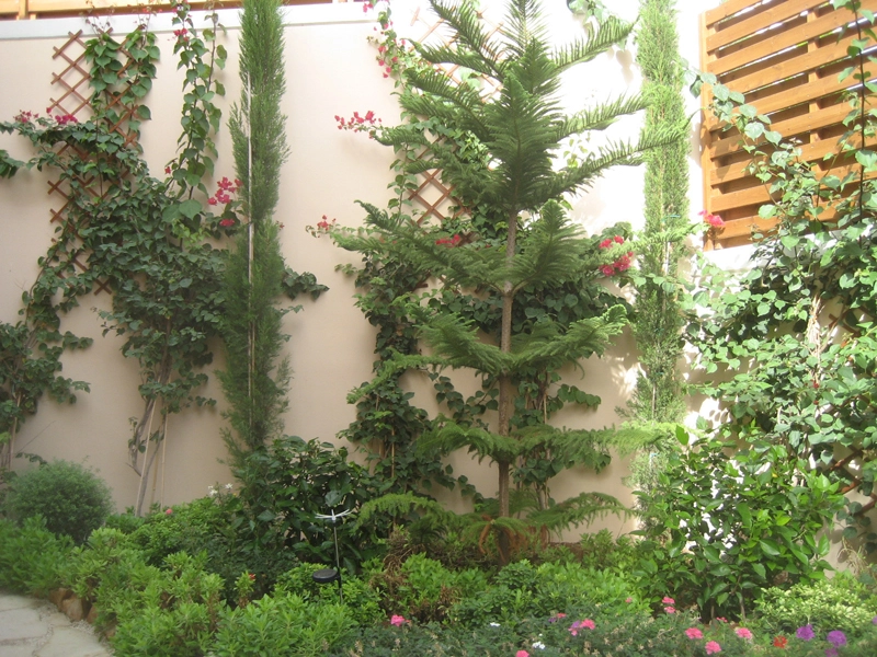 Green Forest - Cyprus' leading landscaping company - project 003 9 2
