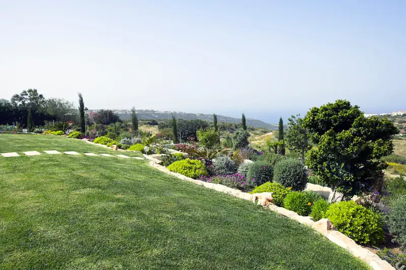 Green Forest - Cyprus' leading landscaping company - project 006 27 1