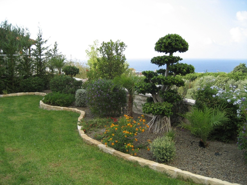 Green Forest - Cyprus' leading landscaping company - project 007 7 2