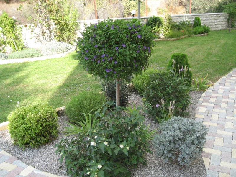 Green Forest - Cyprus' leading landscaping company - project 007 8 1