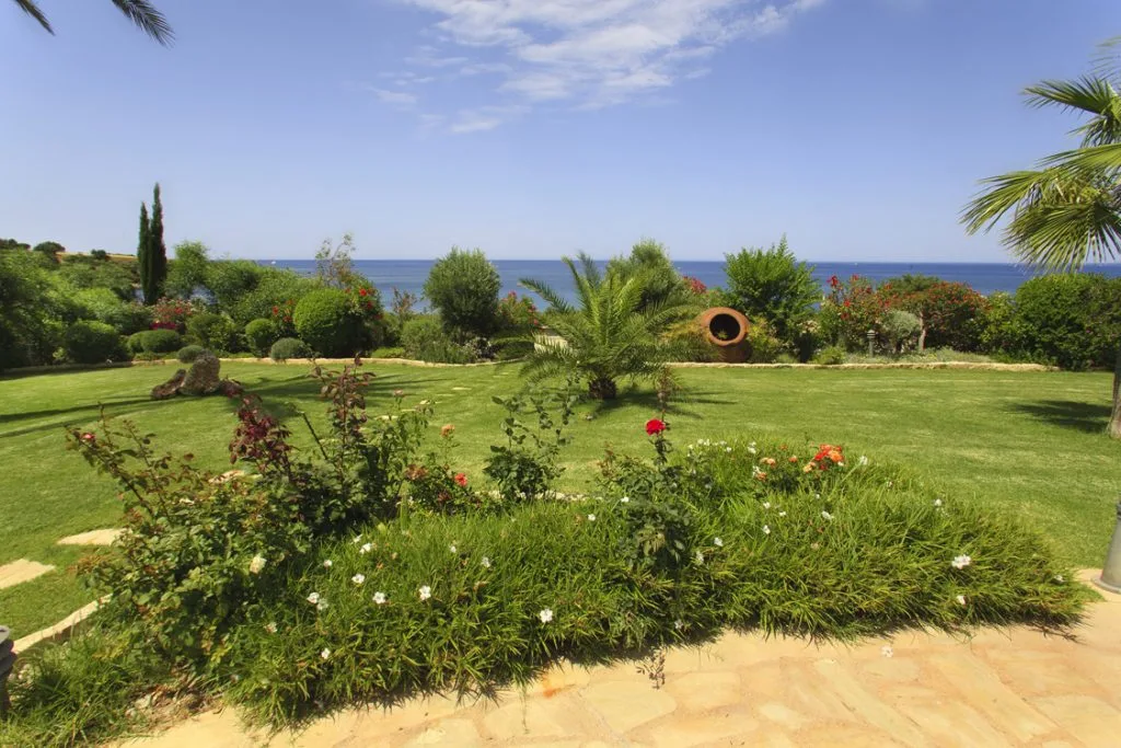 Green Forest - Cyprus' leading landscaping company - project 008 14