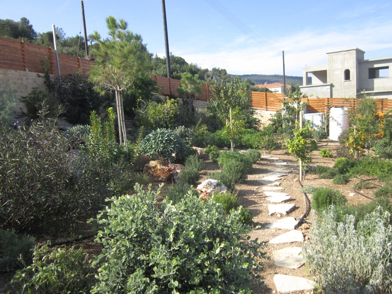 Green Forest - Cyprus' leading landscaping company - project 009 49 2