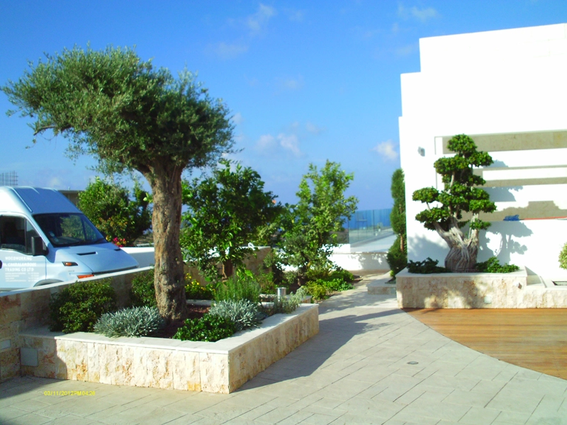 Green Forest - Cyprus' leading landscaping company - project 009 53 2
