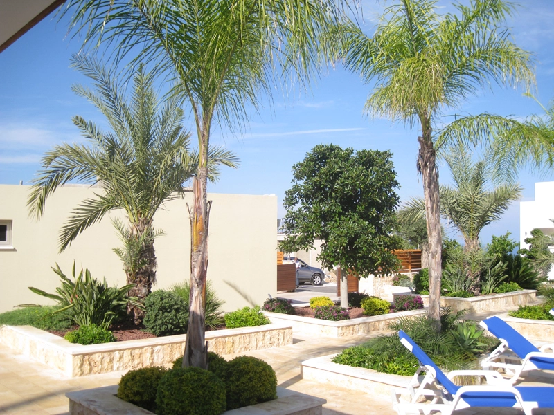 Green Forest - Cyprus' leading landscaping company - project 009 59 2