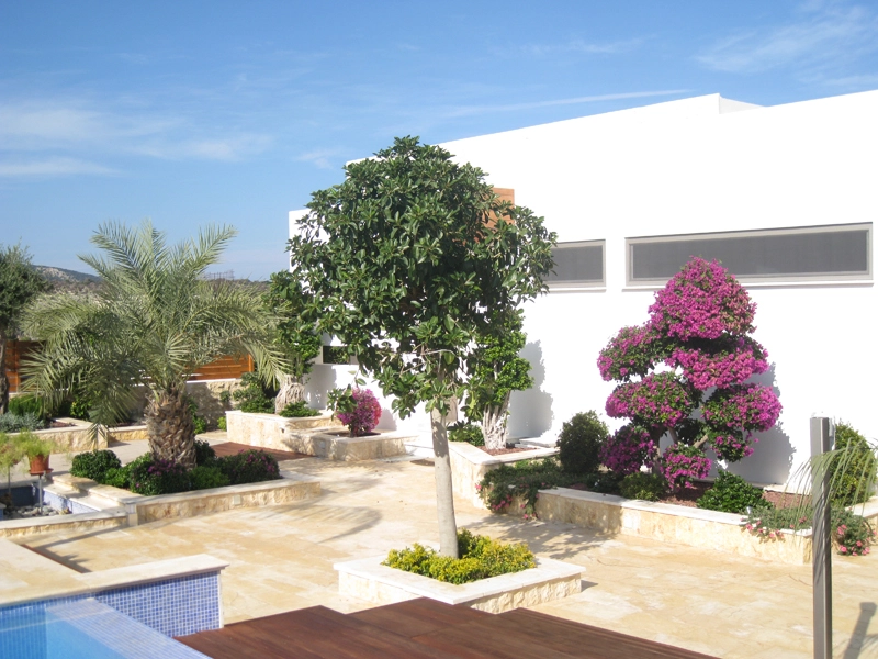 Green Forest - Cyprus' leading landscaping company - project 009 62 2