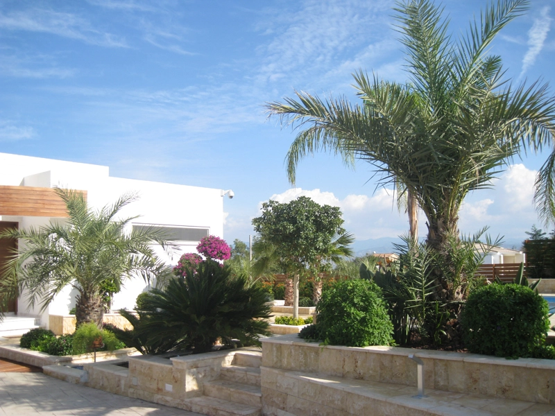 Green Forest - Cyprus' leading landscaping company - project 009 63 2