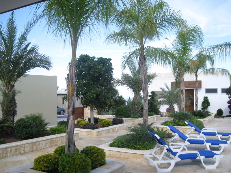 Green Forest - Cyprus' leading landscaping company - project 009 64 2