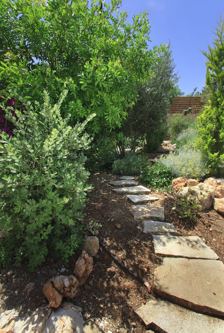 Green Forest - Cyprus' leading landscaping company - project 009 8 2