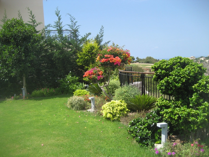 Green Forest - Cyprus' leading landscaping company - project 010 39 1