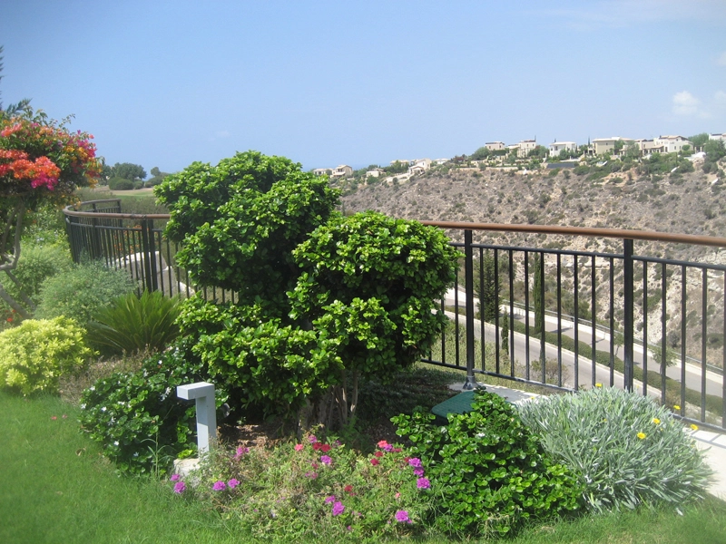 Green Forest - Cyprus' leading landscaping company - project 010 40 2