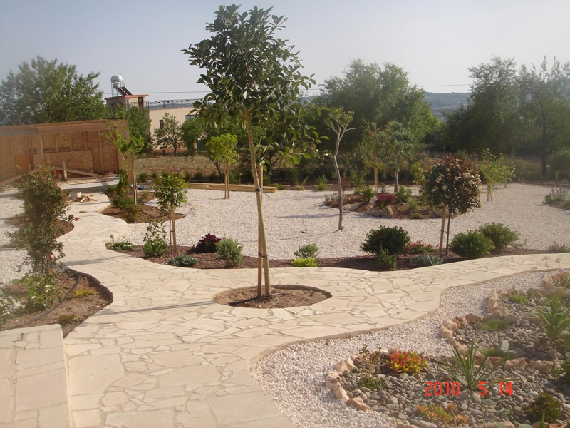 Green Forest - Cyprus' leading landscaping company - project 011 2 1