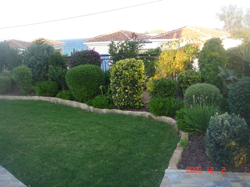 Green Forest - Cyprus' leading landscaping company - project 015 2 2