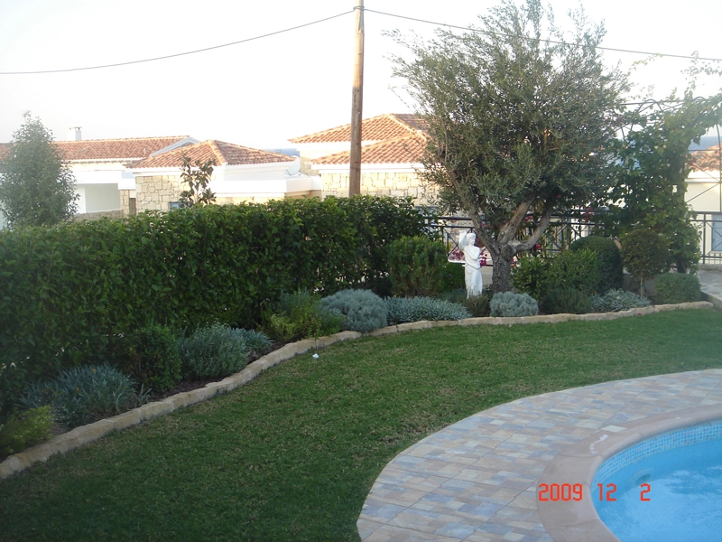 Green Forest - Cyprus' leading landscaping company - project 015 5 2