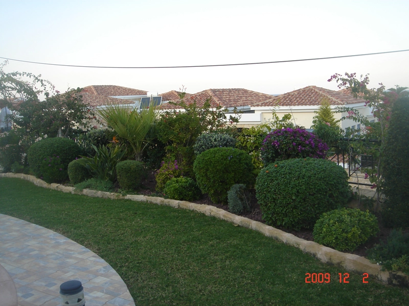 Green Forest - Cyprus' leading landscaping company - project 015 8