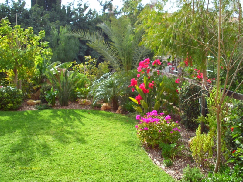 Green Forest - Cyprus' leading landscaping company - project 019 17 2