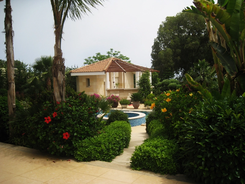 Green Forest - Cyprus' leading landscaping company - project 022 10
