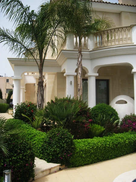 Green Forest - Cyprus' leading landscaping company - project 022 11