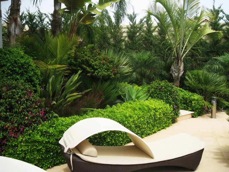 Green Forest - Cyprus' leading landscaping company - project 022 12 2