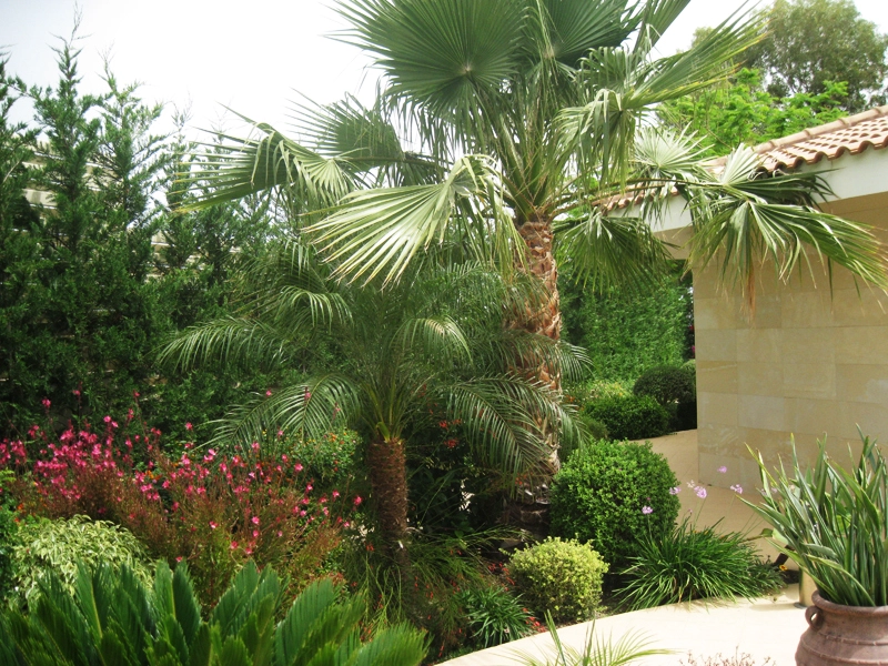 Green Forest - Cyprus' leading landscaping company - project 022 13