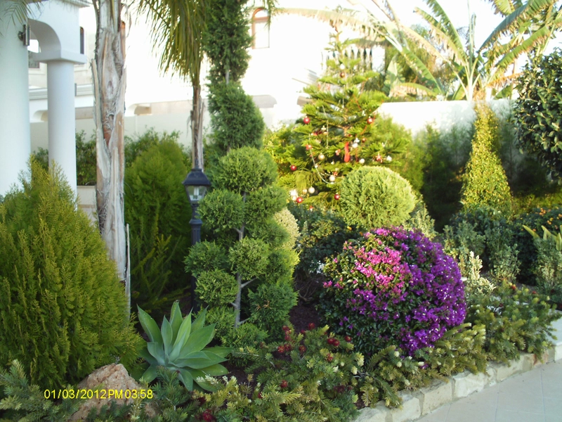 Green Forest - Cyprus' leading landscaping company - project 022 17 2