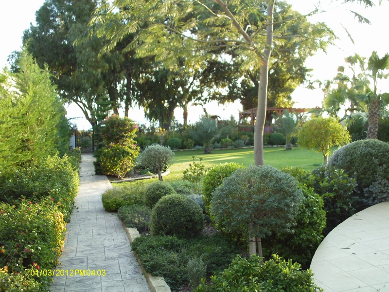 Green Forest - Cyprus' leading landscaping company - project 022 18 2