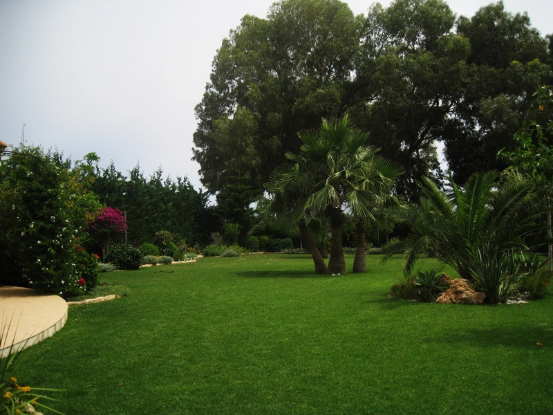 Green Forest - Cyprus' leading landscaping company - project 022 19 2