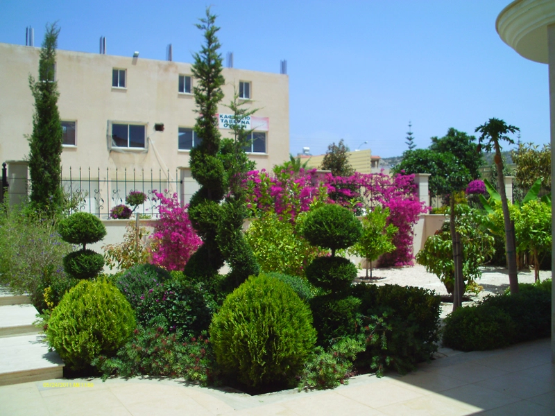 Green Forest - Cyprus' leading landscaping company - project 022 2 2