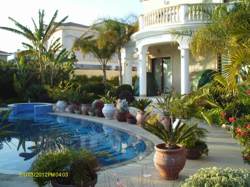 Green Forest - Cyprus' leading landscaping company - project 022 22 2