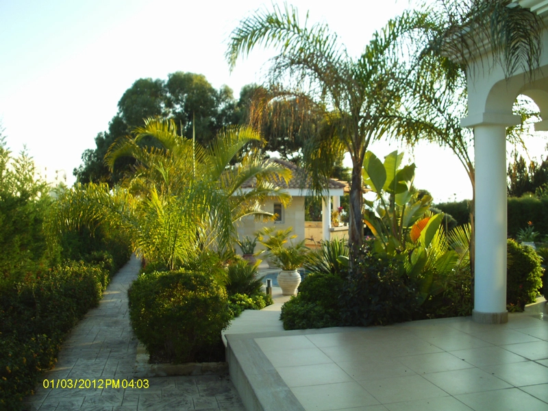 Green Forest - Cyprus' leading landscaping company - project 022 23