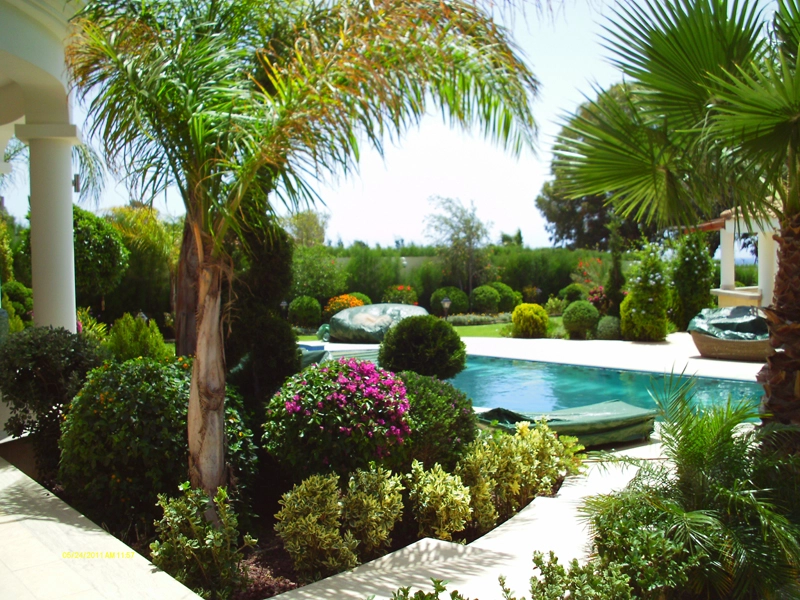 Green Forest - Cyprus' leading landscaping company - project 022 24 1